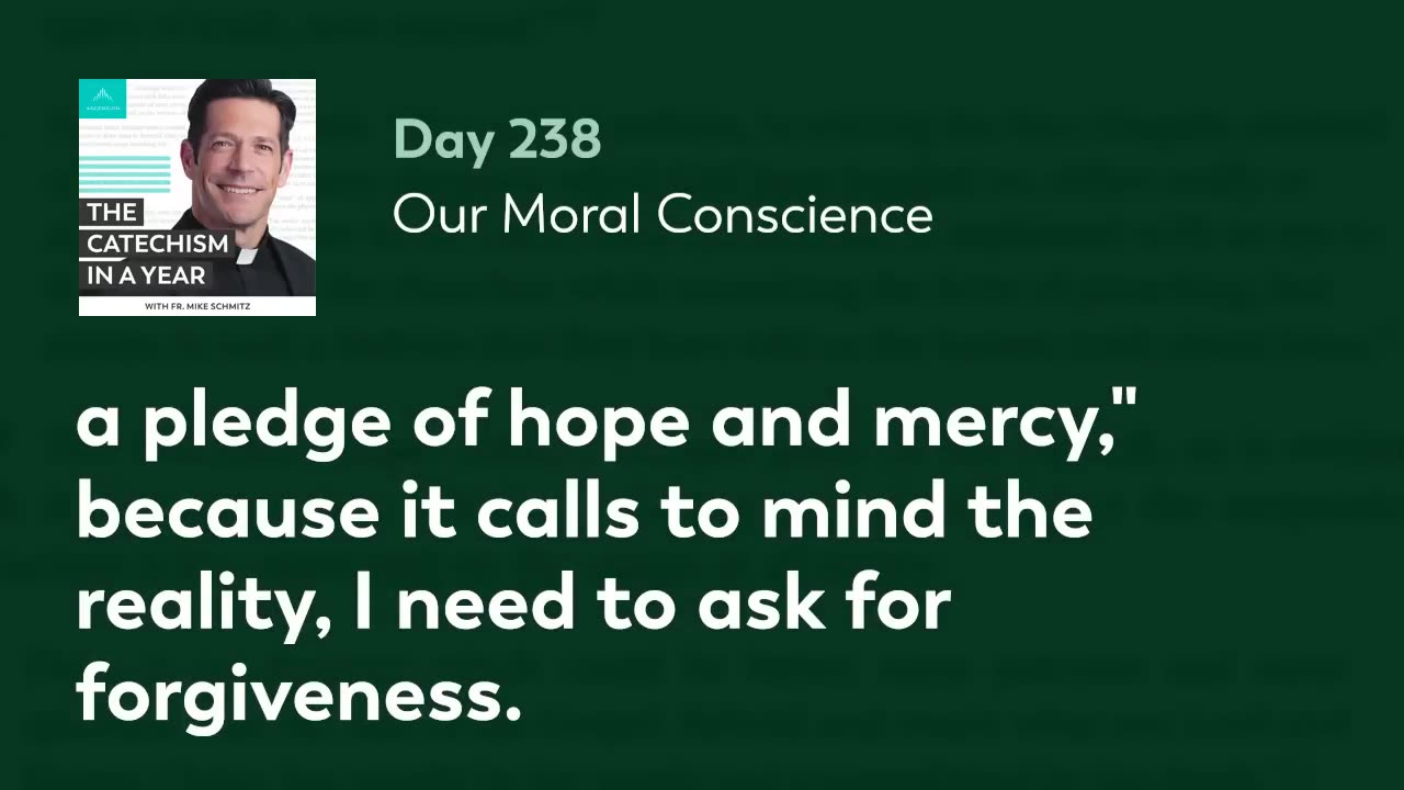 Day 238: Our Moral Conscience — The Catechism in a Year (with Fr. Mike Schmitz)