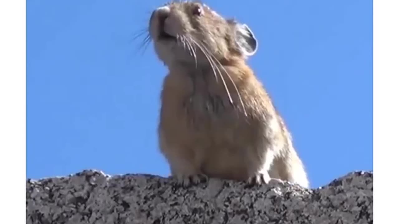 🤣😂