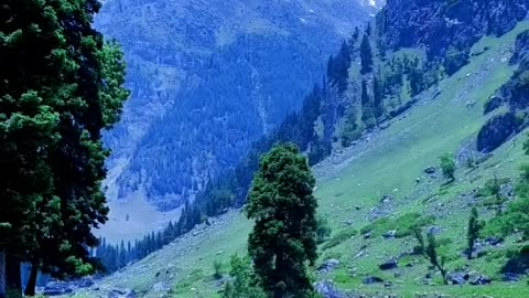 Beauty of nature ❣️. #beauty #nature #viral
