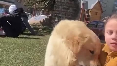 Funny cat vid