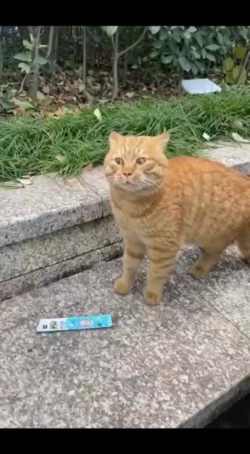 Mr Freezie neon blue flavour tastes awesome!!!