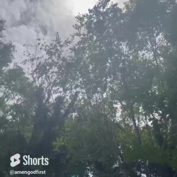 Sunlight ☀️ #shorts