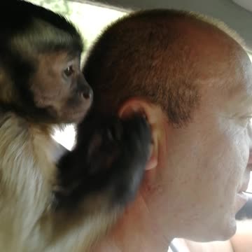 Массаж в дороге от Мироши