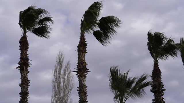 meditation sound with Rain sound