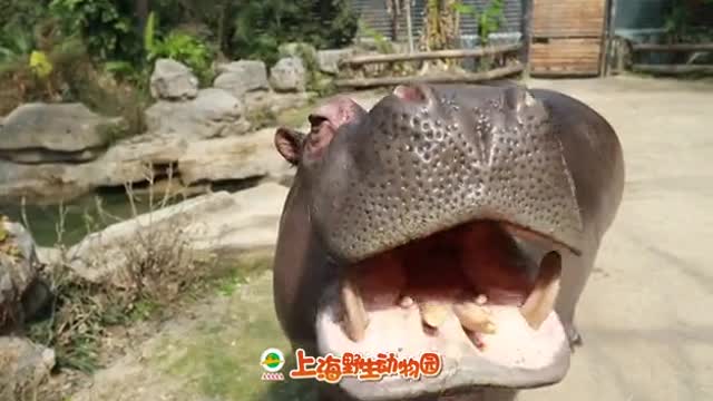 There will be a durian feed again