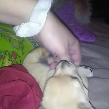 Look at this tiny cutie