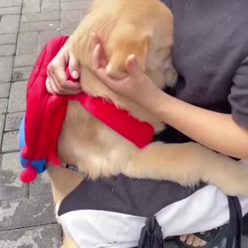 Mom i don't want to go to school😶