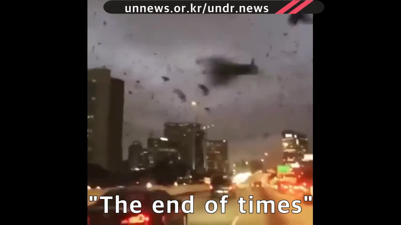 WATCH 🚨 Huge ‘murder’ of crows reportedly spotted flying over Kiev, Ukraine