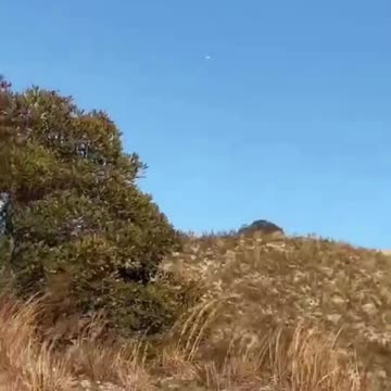 UFO Tic Tac near the skies of New York 16-11-24