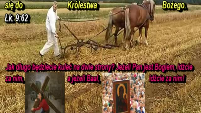 Jak długo będziecie kuleć na dwie strony