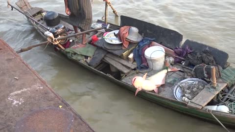 The old man Fishing In the Sea_ Big cat fish caught!!!