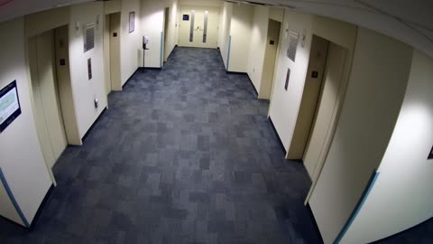 8007FCOB08ElevatorLobby_2021-01-05_02h40min01s547ms.mp4