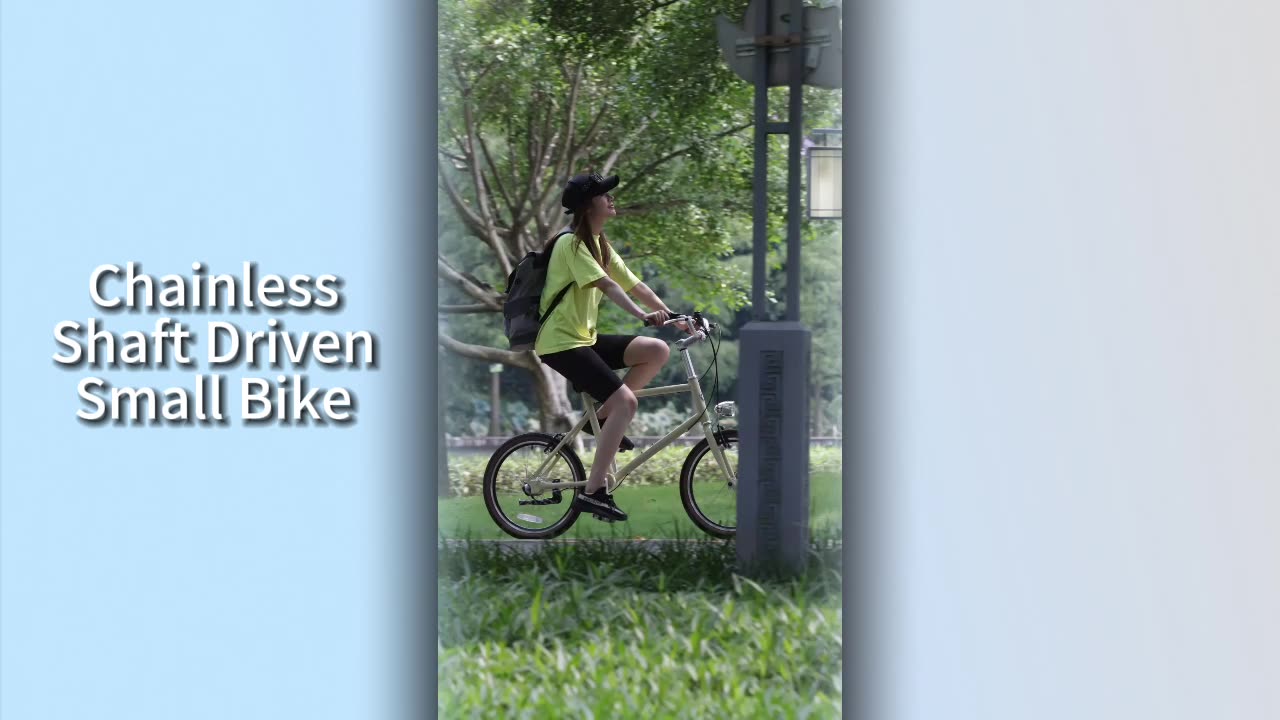 Chainless Shaft Driven Small Bike~