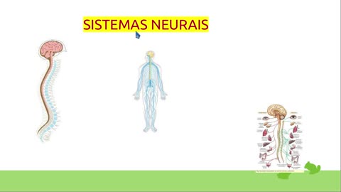 NEUROLOGIA