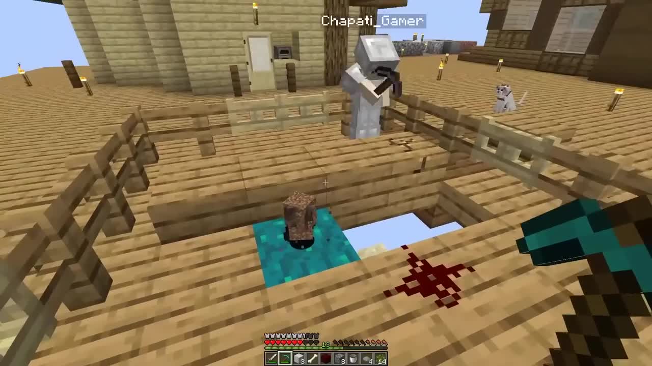 BUILDINGATINYPARROTHOUSEONONEBLOCKp4