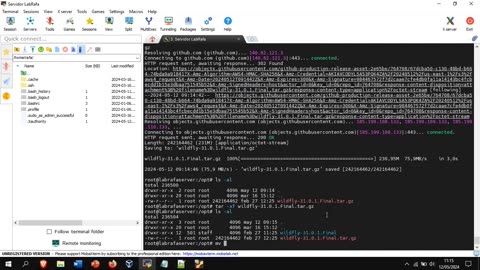 Instalación y configuración de WildFly en VM Linux