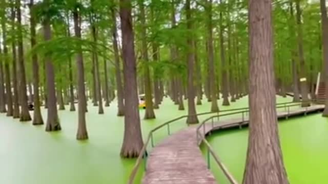 Wetland Park in Hong Kong