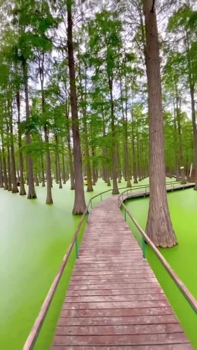 Wetland Park in Hong Kong
