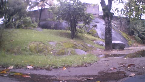 natureza selvagem