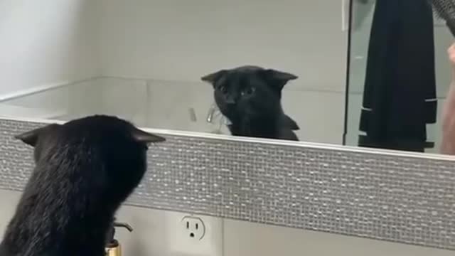 This is who I am?