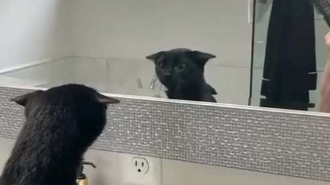 This is who I am?