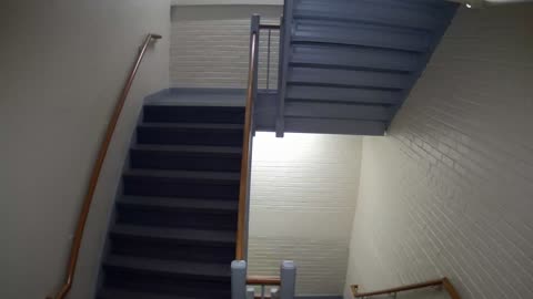 3881FHOB03Stair6_2021-01-05_06h20min00s480ms.mp4