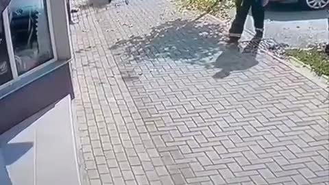 Foolish driver