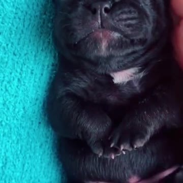 Would U Be There When I Open My Eyes?