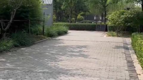 A very clean place
