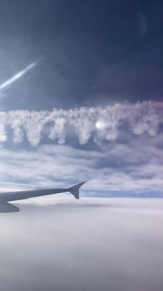 up close & personal with the poison on a flight from cape town to Johannesburg yesterday 24.3.24