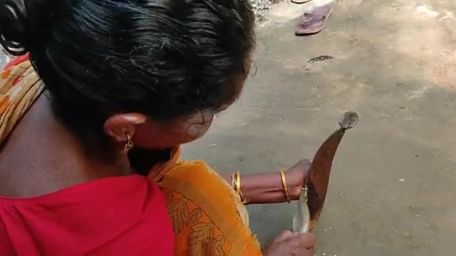 River FOLI FISH cooking recipe with fresh MULO & BEGUN by santali TRIBE couple-6