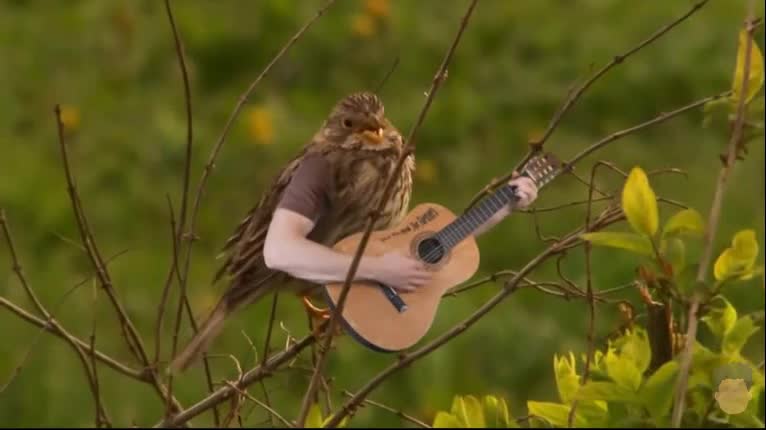 Creative people ROCK!