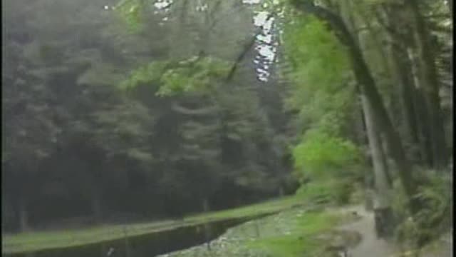 Dark Secrets Inside Bohemian Grove Part 1