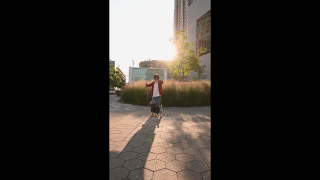 dogs jumping with boy