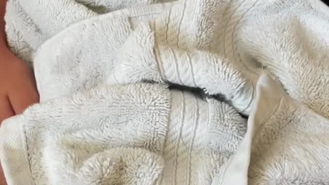 Cute and Funny Cat Videos Compilation - PART 120