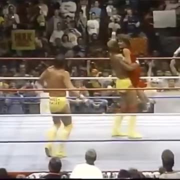 The Mega Powers