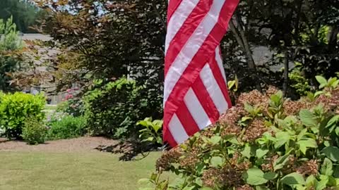 My New Georgia Home
