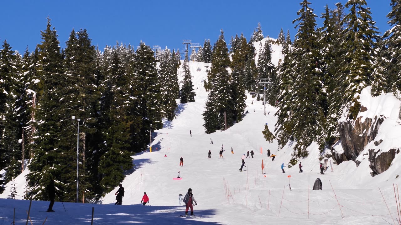 Snowy hill in a forest full of skiers