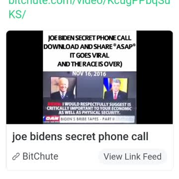 Biden's Leaked Phone Call