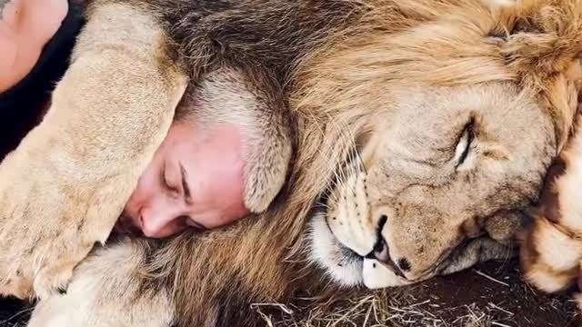 Dean Schneider living & playing with lions.