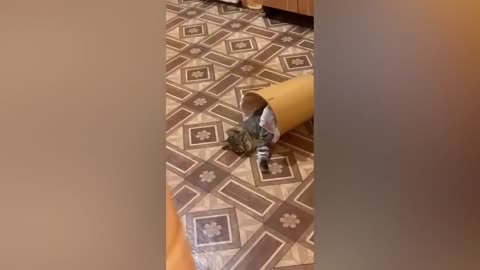 Best Funny Animal Videos Of The 2022🤣Funniest Cats And Dogs Videos😺😍