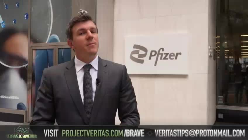 Científico de Pfizer confirma que es mejor enfermarse que vacunarse (ingles)
