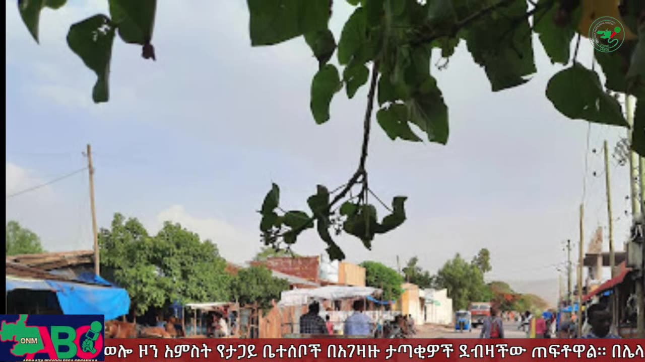 ታህሳስ 7-2024 ONM-ABO እለታዊ የኦሮሞ ነፃነት ሰራዊትና የኦሮሚያ ውሎ!