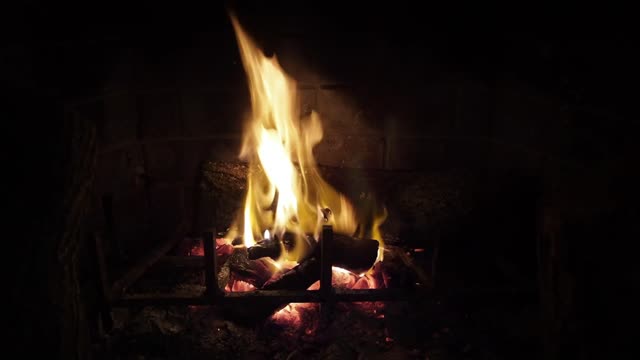 Fireplace in a house in the woods