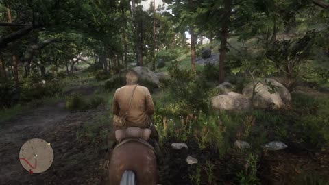 RDR2 walkthrough, a strange kindness mission