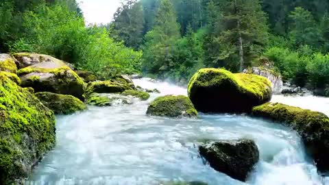 Relaxing Indian Bamboo Flute Music, Water Sounds, Birds Singing, River, Beauty OF Nature