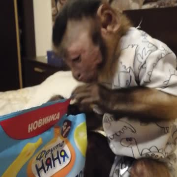 И поел и покрошил