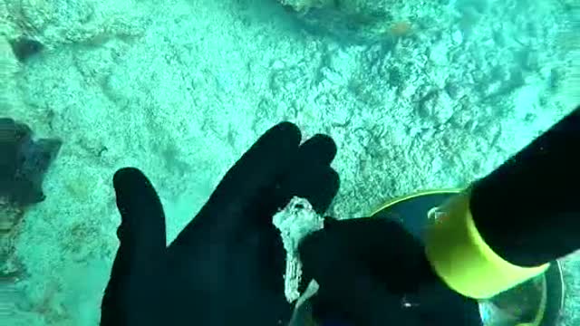 Clean up the underwater garbage and protect the marine natural environment.#6