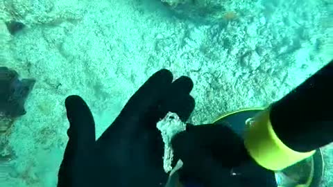 Clean up the underwater garbage and protect the marine natural environment.#6