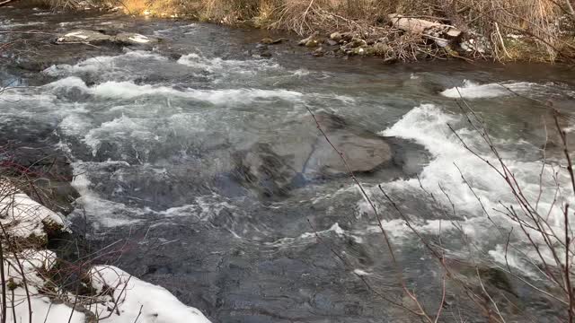 Look at how CLEAR this Mountain Glacier Runoff is – Whychus Creek – Central Oregon